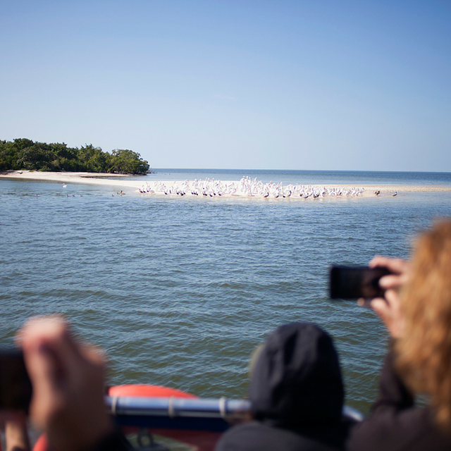 people look at florida bay at everglades national park